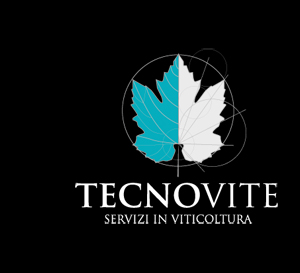 TecnoviteSRL